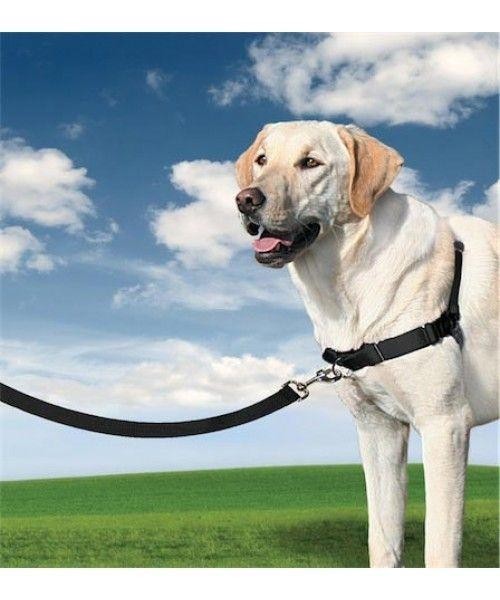 Easy Walk Harness húzásgátló heveder kutyának