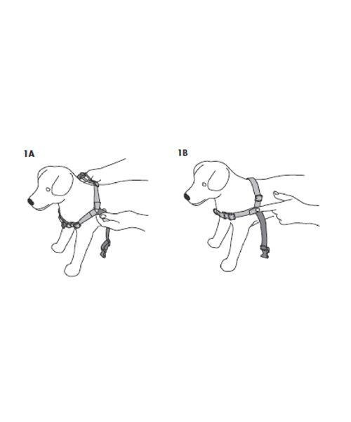 Easy Walk Harness húzásgátló heveder kutyának