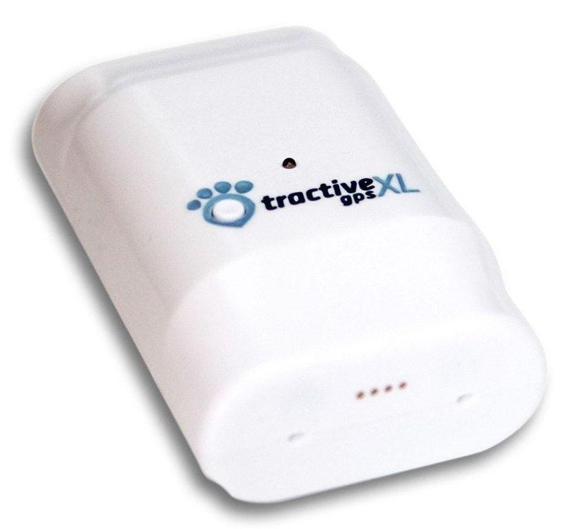 TractiveXL GPS helymeghatározó nagy kutyáknak