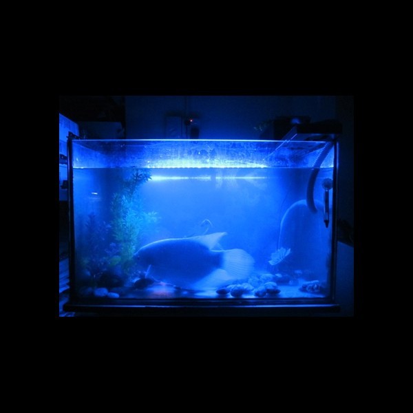 15 LED vízálló világítás az akváriumba