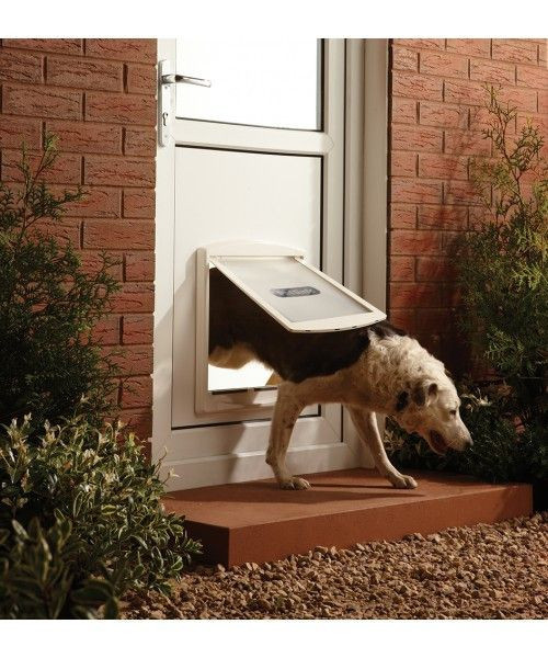 Staywell ajtók kutyáknak - L