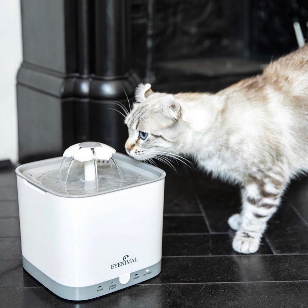 Eyenimal SMART Bloom Pet Fountain szökőkút kutyáknak és macskáknak