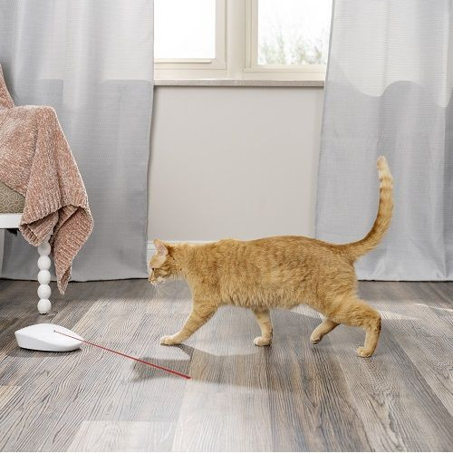 PetSafe Laser Tail Light macskajáték