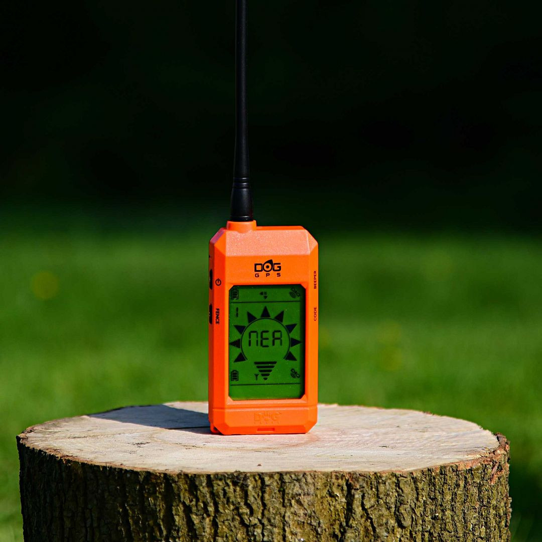 Dogtrace DOG GPS X20 Short nyomkövető készülék kutyák számára